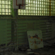 Illustration for article titled These photographs of present-day Chernobyl are utterly haunting